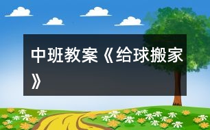 中班教案《給球搬家》