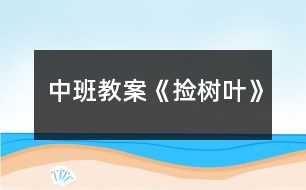 中班教案《撿樹葉》