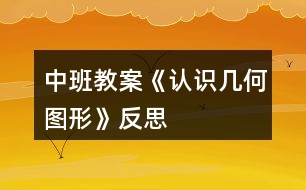 中班教案《認識幾何圖形》反思