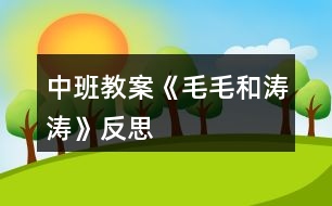 中班教案《毛毛和濤濤》反思