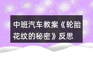 中班汽車(chē)教案《輪胎花紋的秘密》反思