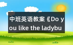 中班英語教案《Do you like the ladybug？》