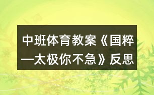 中班體育教案《國(guó)粹―太極你不急》反思