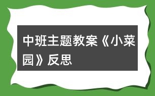 中班主題教案《小菜園》反思