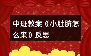 中班教案《小肚臍怎么來》反思