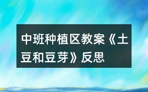 中班種植區(qū)教案《土豆和豆芽》反思