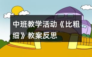 中班教學(xué)活動(dòng)《比粗細(xì)》教案反思