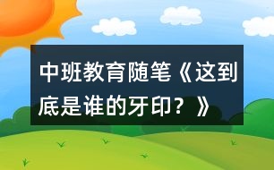 中班教育隨筆《這到底是誰的牙??？》