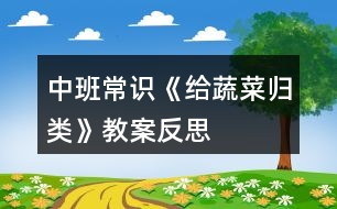 中班常識(shí)《給蔬菜歸類(lèi)》教案反思