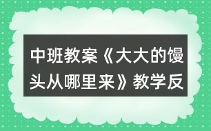 中班教案《大大的饅頭從哪里來》教學反思