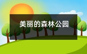 美麗的森林公園