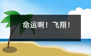 命運(yùn)??！飛翔！