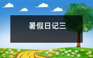 暑假日記三