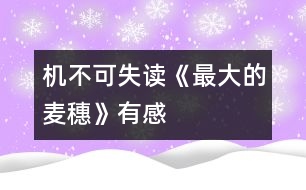 機(jī)不可失——讀《最大的麥穗》有感