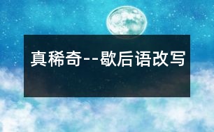 真稀奇--歇后語(yǔ)改寫