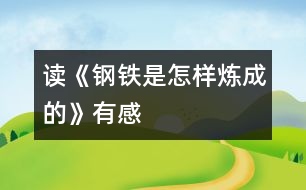 讀《鋼鐵是怎樣煉成的》有感