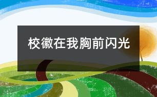 ?；赵谖倚厍伴W光