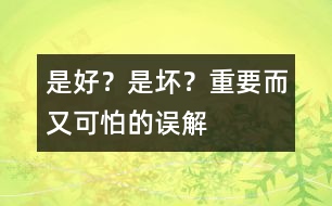 是好？是壞？——重要而又可怕的誤解