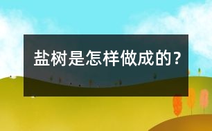 鹽樹是怎樣做成的？