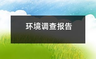 環(huán)境調查報告