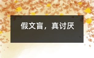 假文盲，真討厭