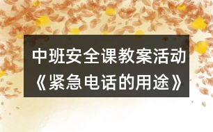 中班安全課教案活動《緊急電話的用途》反思