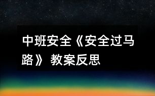 中班安全《安全過馬路》 教案反思