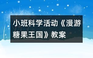 小班科學(xué)活動：《漫游糖果王國》教案