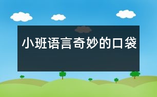 小班語(yǔ)言：奇妙的口袋