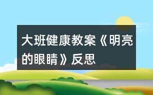 大班健康教案《明亮的眼睛》反思