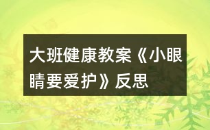 大班健康教案《小眼睛要愛護》反思