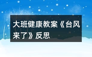 大班健康教案《臺風來了》反思