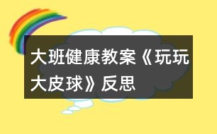 大班健康教案《玩玩大皮球》反思