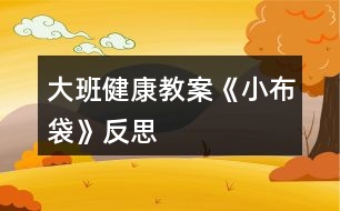 大班健康教案《小布袋》反思