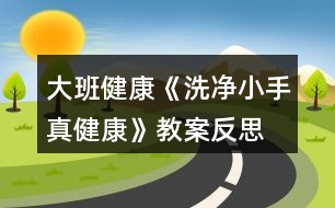 大班健康《洗凈小手真健康》教案反思