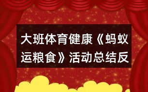 大班體育健康《螞蟻運糧食》活動總結(jié)反思