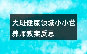 大班健康領(lǐng)域小小營養(yǎng)師教案反思