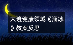 大班健康領域《溜冰》教案反思