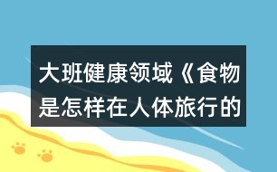 大班健康領(lǐng)域《食物是怎樣在人體旅行的》教案反思