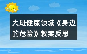 大班健康領域《身邊的危險》教案反思