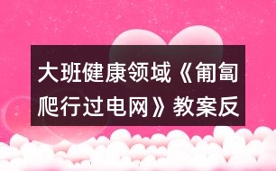 大班健康領域《匍匐爬行過電網(wǎng)》教案反思