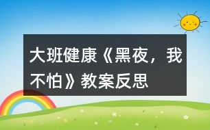 大班健康《黑夜，我不怕》教案反思