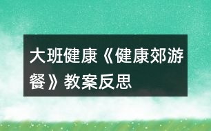 大班健康《健康郊游餐》教案反思