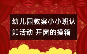 幼兒園教案小小班認(rèn)知活動(dòng) 開窗的摸箱