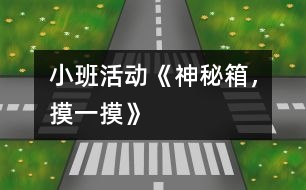 小班活動(dòng)《神秘箱，摸一摸》