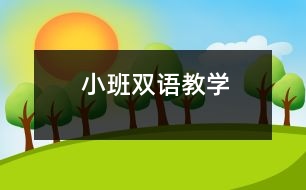 小班雙語(yǔ)教學(xué)