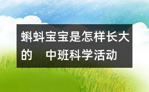 蝌蚪寶寶是怎樣長(zhǎng)大的?。ㄖ邪嗫茖W(xué)活動(dòng)）