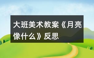 大班美術教案《月亮像什么》反思