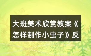 大班美術(shù)欣賞教案《怎樣制作小蟲子》反思