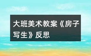 大班美術(shù)教案《房子寫(xiě)生》反思